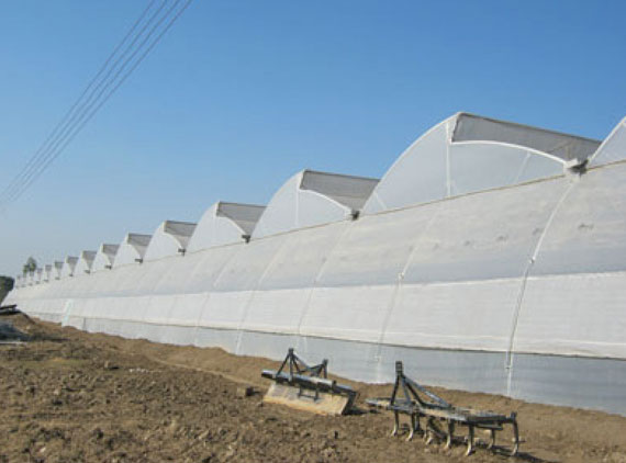 Agro Shade Net in Peenya