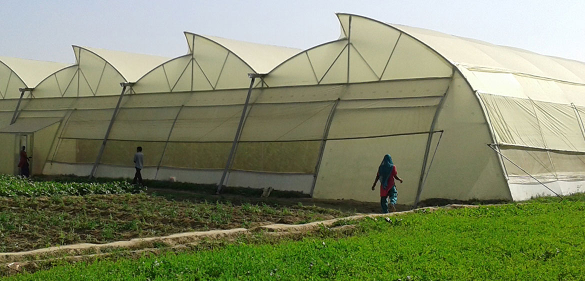 Greenhouse Project in south india